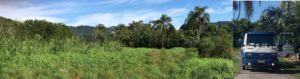 Canteiros de mineralização de lodo ou wetland para tratamento de lodo